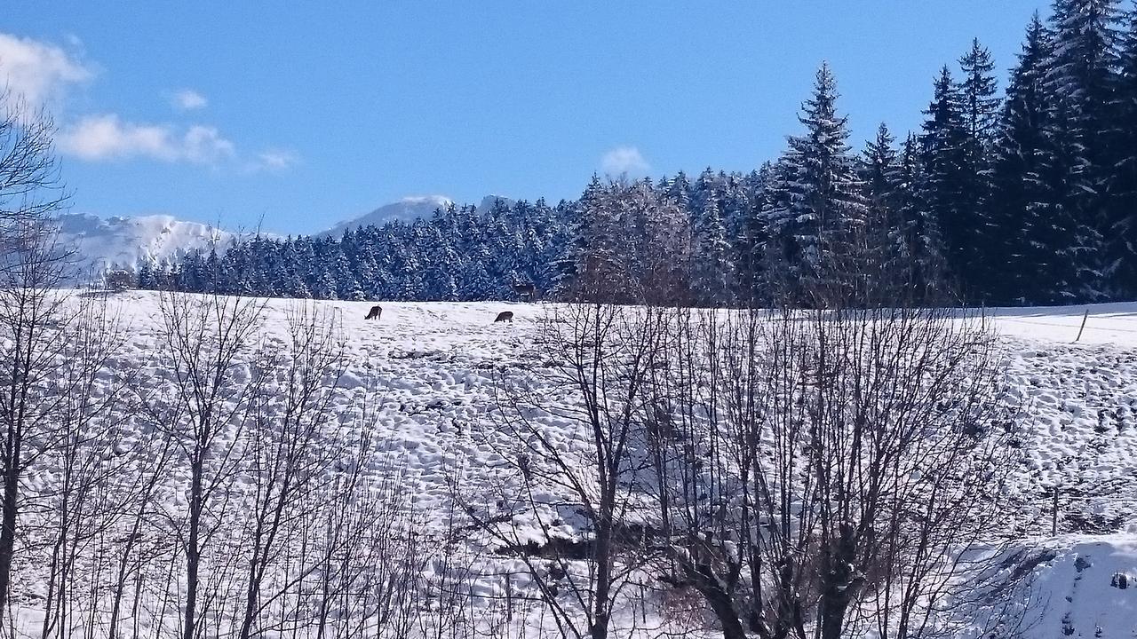 La Ferme Du Bois Barbu Hotel Вилар-де-Лан Екстериор снимка